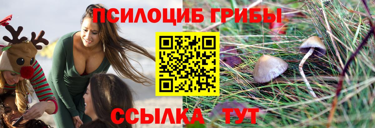 Галлюциногенные грибы прущие грибы  Вход с VPN  Бузулук 